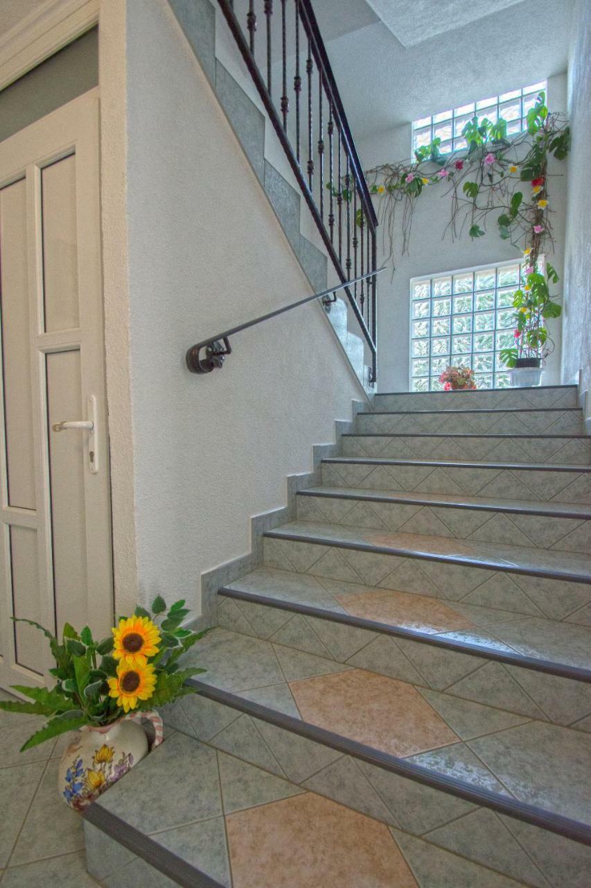 Apartment Blazic ยาดราโนโว ภายนอก รูปภาพ